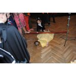 3 Kinderfasching